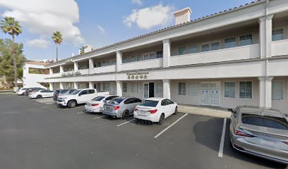 Timoseed Insurance Services