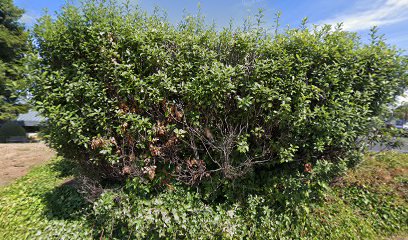 Muzio & Rovero Insurance Services, Inc