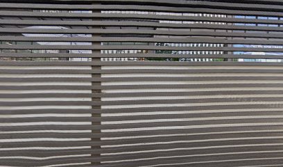 Laleh Hakimi – Mutual of Omaha Advisor