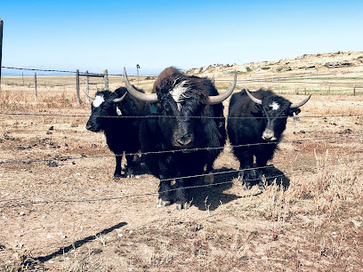 State Insurance Company LLC