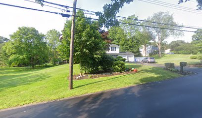 Senior Insurance Consultants