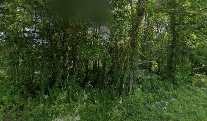 Grohs Schrager Hampson Aviation Insurance LLC