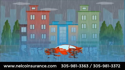 A Nelco Insurance Group
