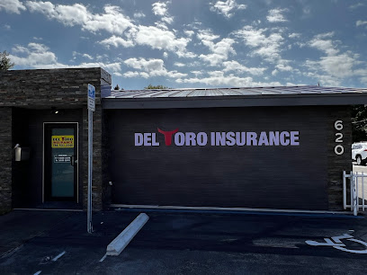 Del Toro Insurance