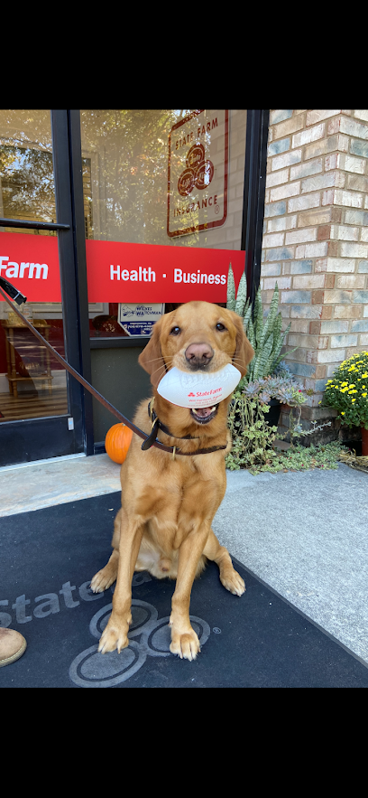 Will Harrison – State Farm Insurance Agent