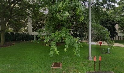 Health and Life Insurance – Andrew Choi