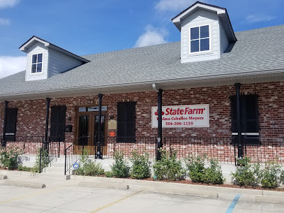 Thelma Ceballos-Meyers – State Farm Insurance Agent