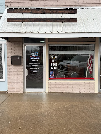 James Davidson American Family Insurance