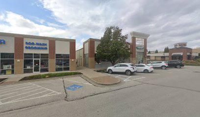 Ryan Reed – COUNTRY Financial Representative