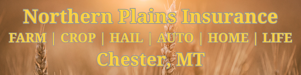 Northern Plains Insurance