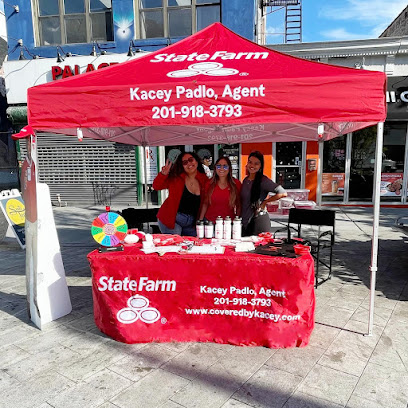 Kacey Padlo – State Farm Insurance Agent
