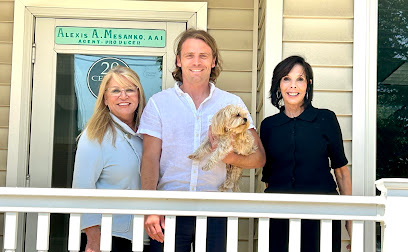 Mesanko Insurance Agency