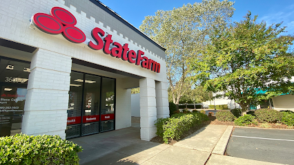 Steve Carpou – State Farm Insurance Agent