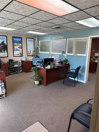 Hannah Montoya American Family Insurance