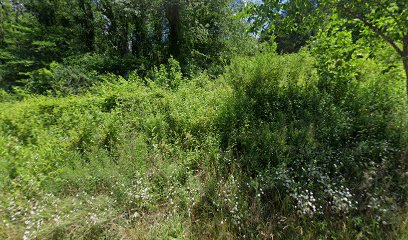 Everett Sechler Insurance