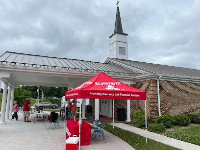 Lynn Ray – State Farm Insurance Agent