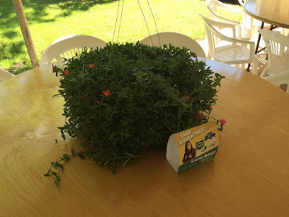 Germania Farm Mutual LC 176 Scott-Walker Insurance Agency