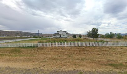 Livestock And Dairy Insurance Solutions