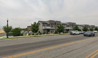 Bridgerland Insurance LLC