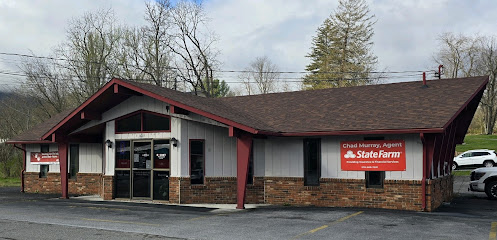 Chad Murray – State Farm Insurance Agent