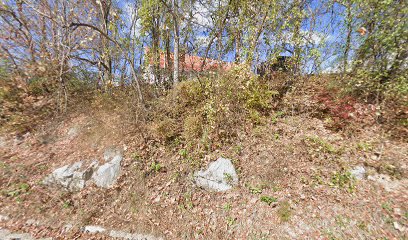 Blue Biz Insurance Service